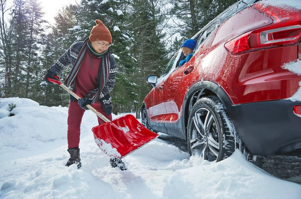 Yardworks Heritage Heavy Duty Snow Scoop Shovel With Nylon Wear Strip, 19-in, CT100 Edition - Image 3